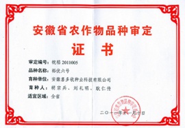 裕優(yōu)六號(hào)證書(shū)